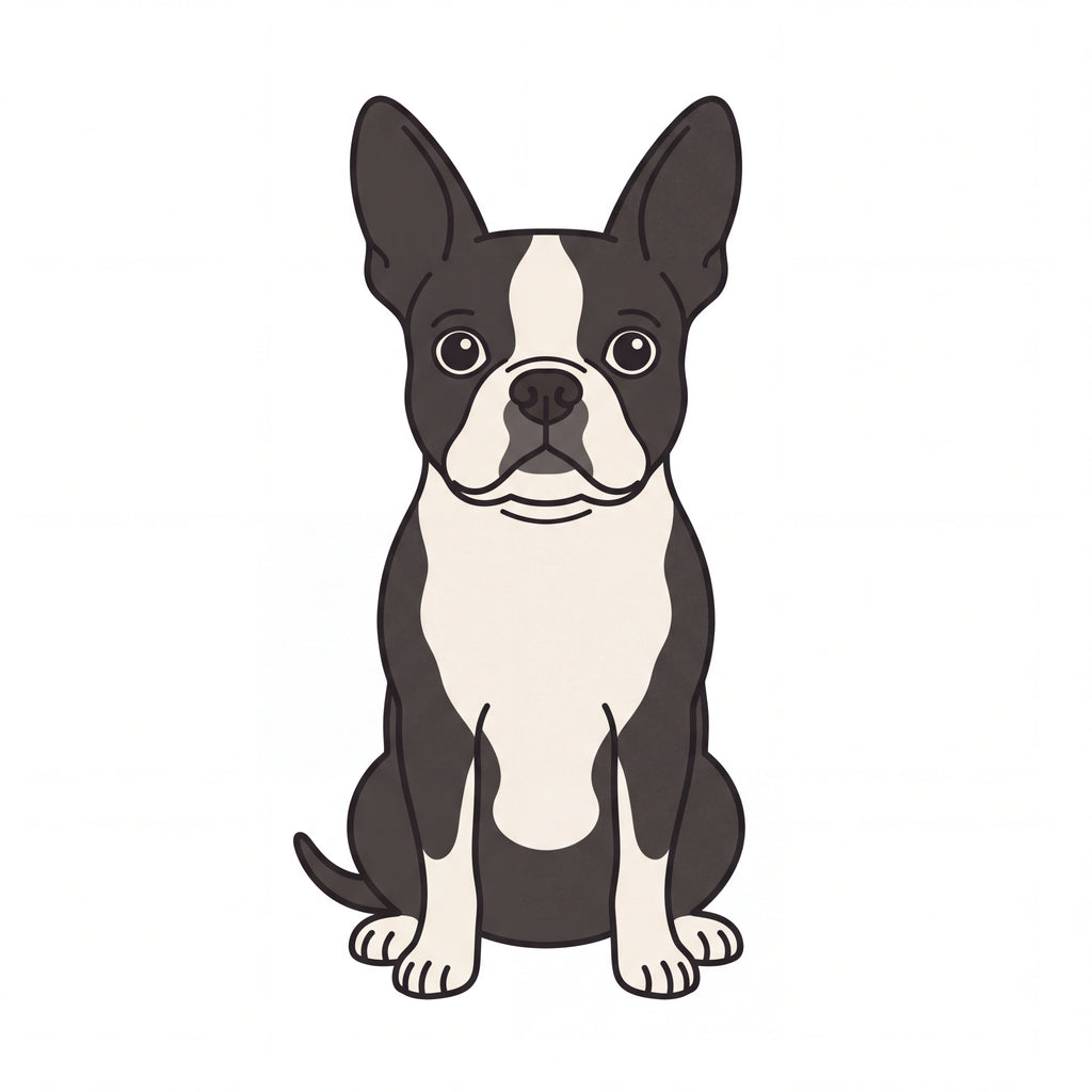 PawTale Press artwork: Boston Terrier, Modern line style