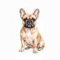 PawTale Press artwork: French Bulldog (fawn), Watercolor style